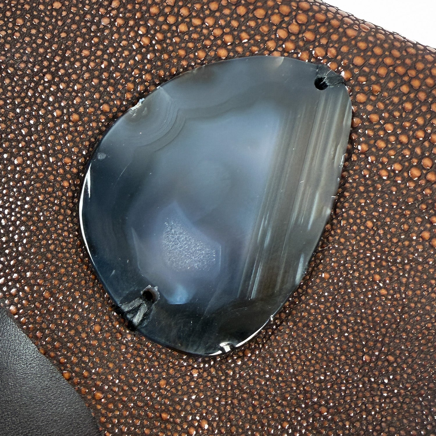 PAULINA - brown Stingray