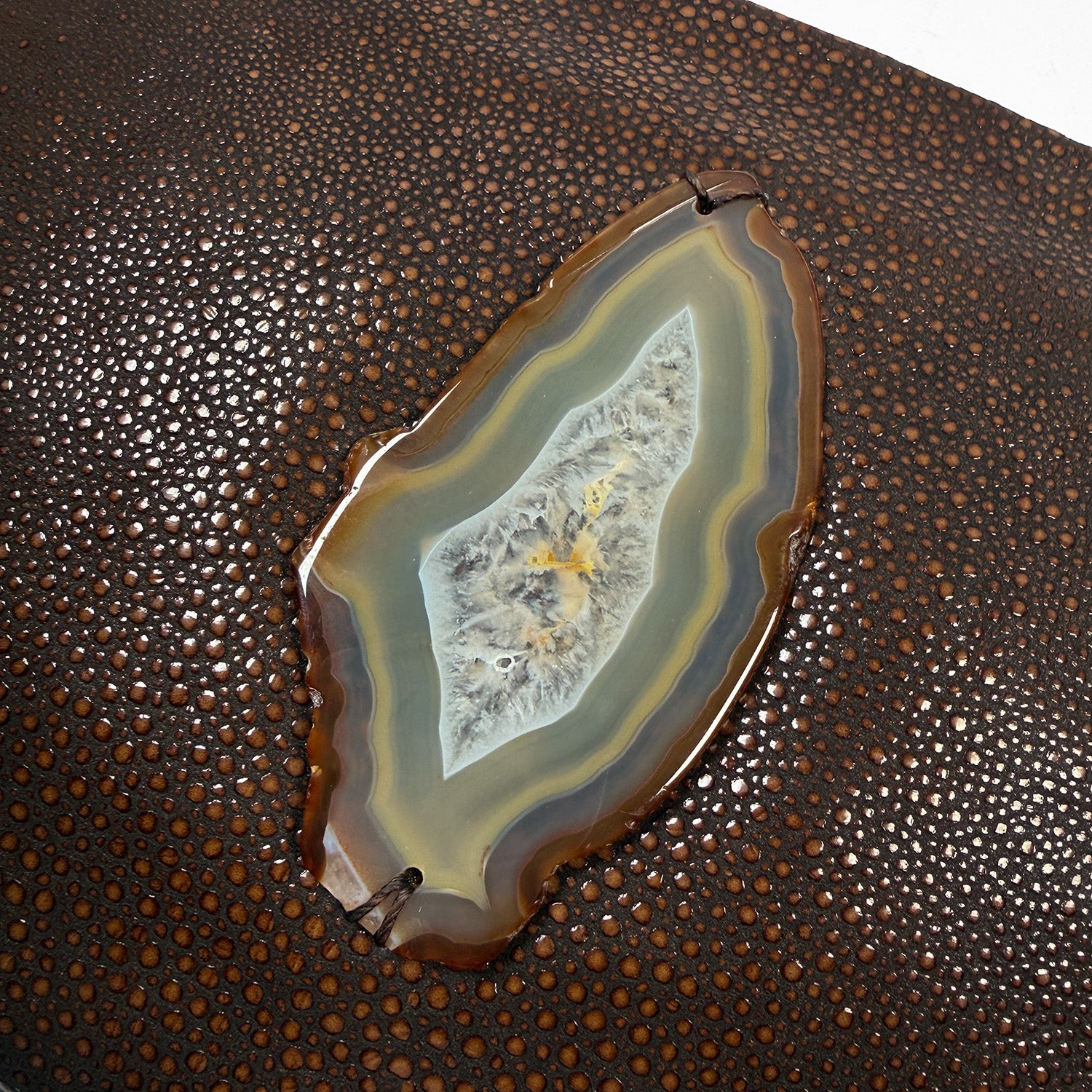 Samatha - brown Stingray